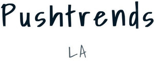 pushtrends logo